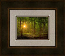 Load image into Gallery viewer, Suddenly A Light Descended
