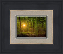 Load image into Gallery viewer, Suddenly A Light Descended

