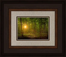 Load image into Gallery viewer, Suddenly A Light Descended

