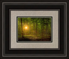Load image into Gallery viewer, Suddenly A Light Descended
