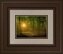 Load image into Gallery viewer, Suddenly A Light Descended
