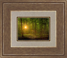 Load image into Gallery viewer, Suddenly A Light Descended
