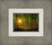 Load image into Gallery viewer, Suddenly A Light Descended
