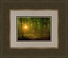Load image into Gallery viewer, Suddenly A Light Descended
