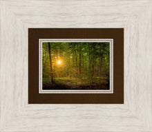 Load image into Gallery viewer, Suddenly A Light Descended
