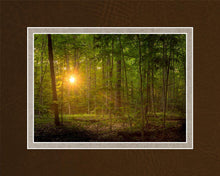 Load image into Gallery viewer, Suddenly A Light Descended
