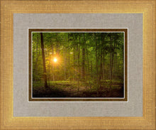 Load image into Gallery viewer, Suddenly A Light Descended
