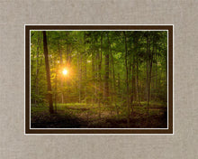Load image into Gallery viewer, Suddenly A Light Descended

