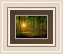 Load image into Gallery viewer, Suddenly A Light Descended
