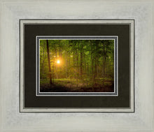 Load image into Gallery viewer, Suddenly A Light Descended
