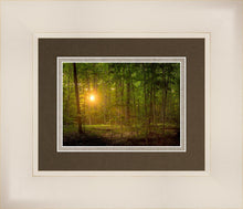 Load image into Gallery viewer, Suddenly A Light Descended
