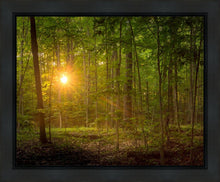 Load image into Gallery viewer, Suddenly A Light Descended
