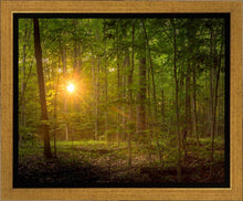 Load image into Gallery viewer, Suddenly A Light Descended
