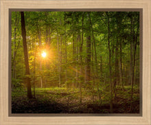 Load image into Gallery viewer, Suddenly A Light Descended
