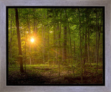 Load image into Gallery viewer, Suddenly A Light Descended
