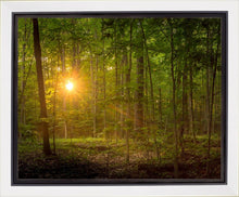 Load image into Gallery viewer, Suddenly A Light Descended
