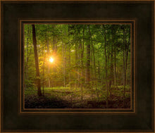 Load image into Gallery viewer, Suddenly A Light Descended
