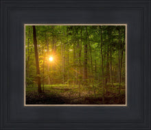Load image into Gallery viewer, Suddenly A Light Descended
