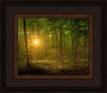 Load image into Gallery viewer, Suddenly A Light Descended
