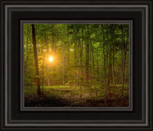 Load image into Gallery viewer, Suddenly A Light Descended
