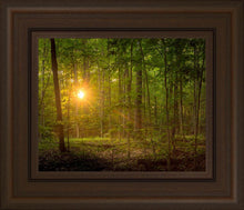Load image into Gallery viewer, Suddenly A Light Descended
