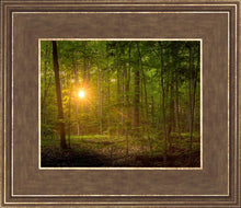 Load image into Gallery viewer, Suddenly A Light Descended
