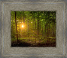 Load image into Gallery viewer, Suddenly A Light Descended
