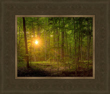 Load image into Gallery viewer, Suddenly A Light Descended
