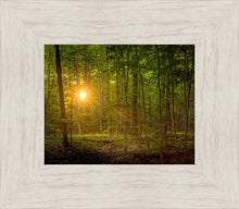 Load image into Gallery viewer, Suddenly A Light Descended
