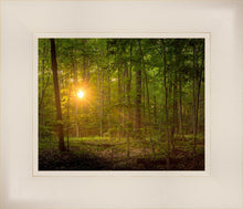 Load image into Gallery viewer, Suddenly A Light Descended
