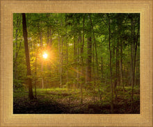 Load image into Gallery viewer, Suddenly A Light Descended

