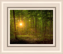 Load image into Gallery viewer, Suddenly A Light Descended
