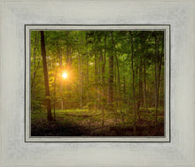 Load image into Gallery viewer, Suddenly A Light Descended

