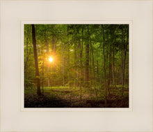 Load image into Gallery viewer, Suddenly A Light Descended
