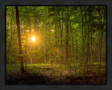 Load image into Gallery viewer, Suddenly A Light Descended
