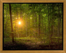 Load image into Gallery viewer, Suddenly A Light Descended
