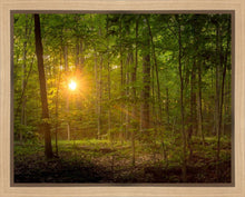 Load image into Gallery viewer, Suddenly A Light Descended
