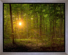 Load image into Gallery viewer, Suddenly A Light Descended
