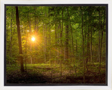 Load image into Gallery viewer, Suddenly A Light Descended
