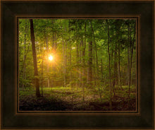 Load image into Gallery viewer, Suddenly A Light Descended
