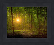 Load image into Gallery viewer, Suddenly A Light Descended
