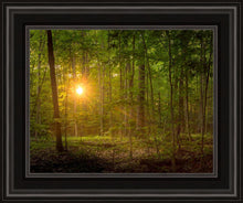 Load image into Gallery viewer, Suddenly A Light Descended
