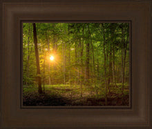 Load image into Gallery viewer, Suddenly A Light Descended
