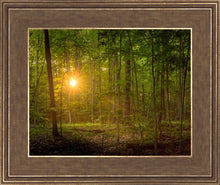 Load image into Gallery viewer, Suddenly A Light Descended
