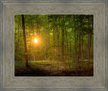 Load image into Gallery viewer, Suddenly A Light Descended
