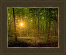 Load image into Gallery viewer, Suddenly A Light Descended

