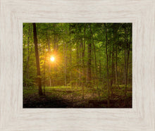 Load image into Gallery viewer, Suddenly A Light Descended
