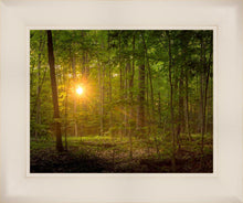 Load image into Gallery viewer, Suddenly A Light Descended
