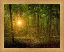 Load image into Gallery viewer, Suddenly A Light Descended
