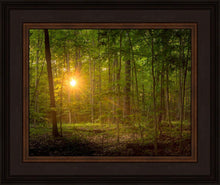 Load image into Gallery viewer, Suddenly A Light Descended
